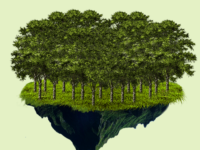 Cultivate a forest 100x Trees