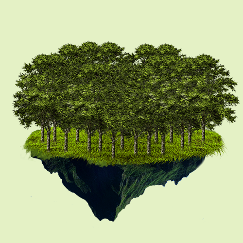 Cultivate a forest 100x Trees