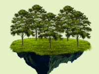 Plant trees as a gift for Birthday, New Baby, Wedding and Special Occasions