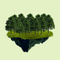 Plant 50 trees as a company