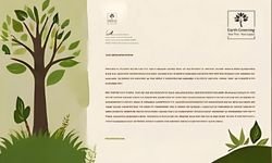certificate 1