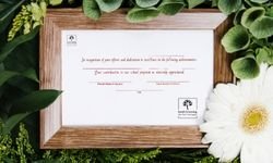 certificate 3